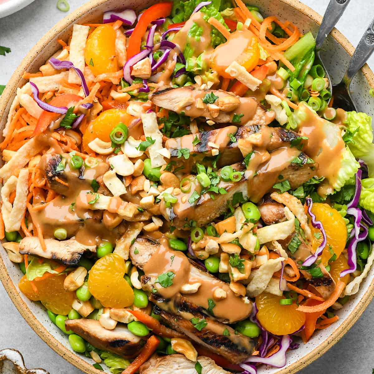 overhead view of a bowl of Asian Chicken Salad