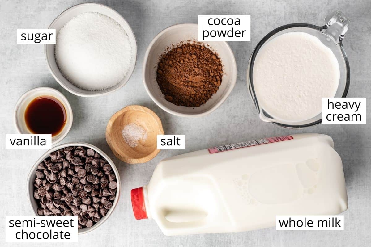 overhead view of the ingredients in this Crock pot Hot Chocolate recipe