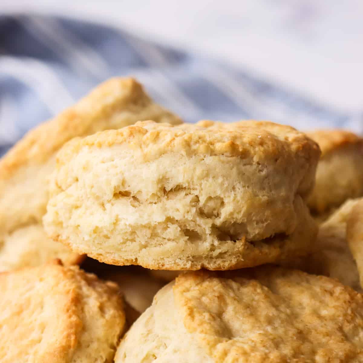 a homemade biscuit on a stack of biscuits