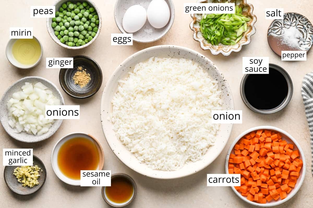 overhead view of the labeled ingredients in this fried rice recipe